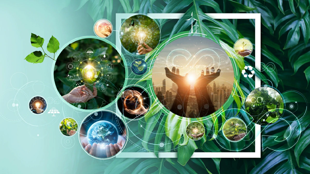 DES-SOS-1 Cursos destacados