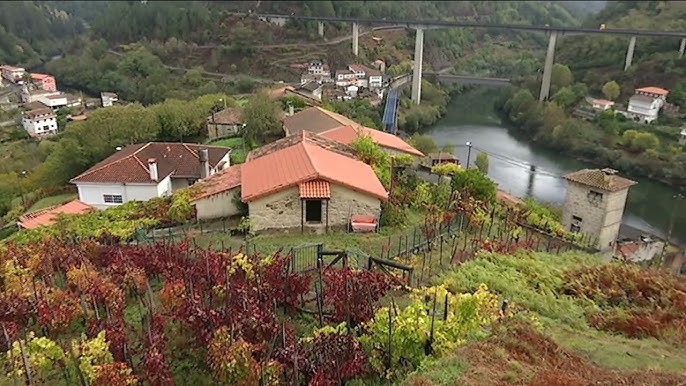 FINC-URB-1 Cursos destacados