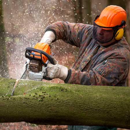 Motosierra-1 Cursos destacados