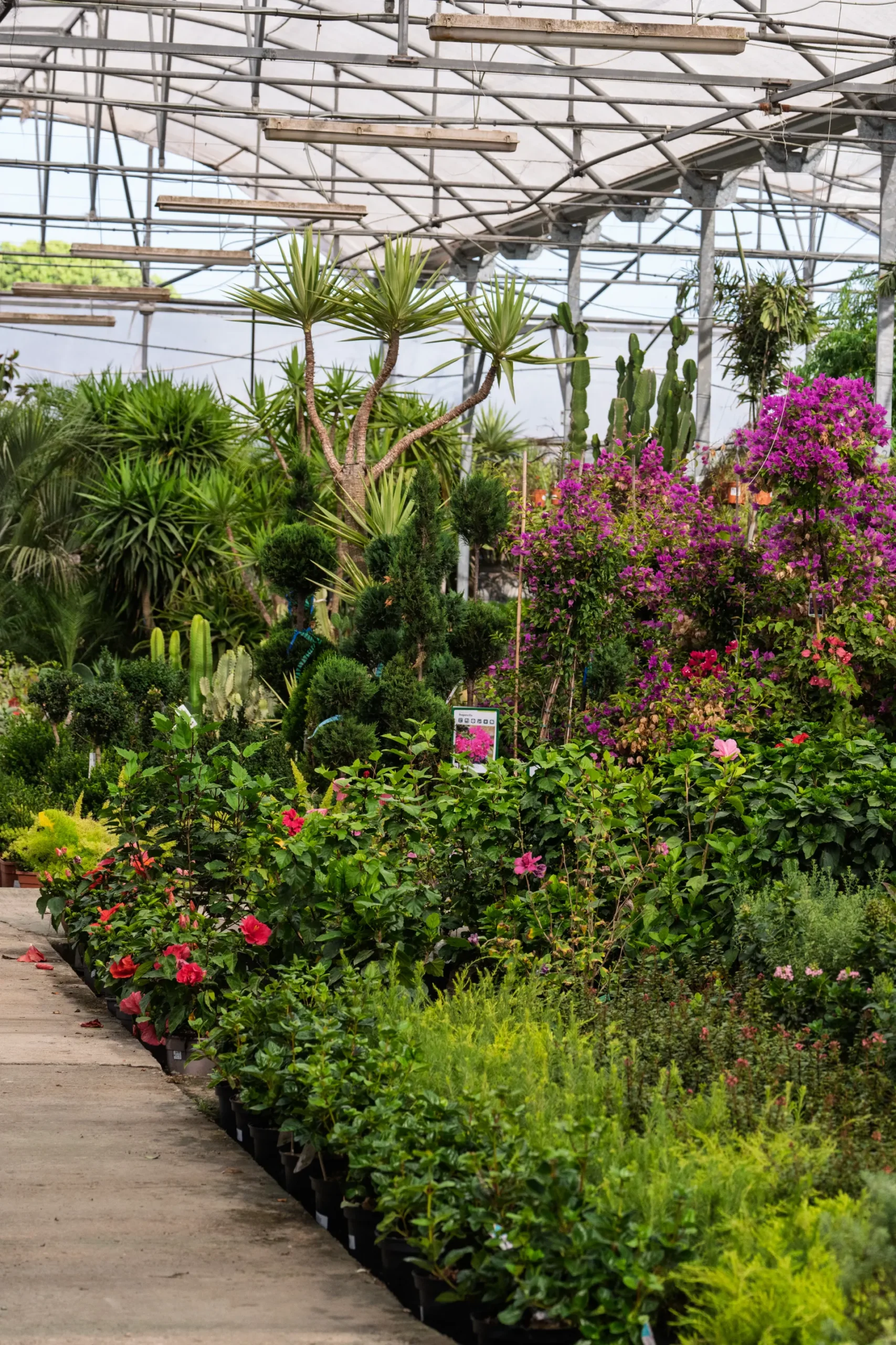 TROPIC1 Cursos destacados