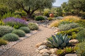 XERO Cursos destacados