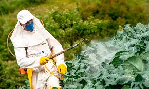 f1 Formación presencial