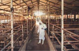 f4 Formación presencial