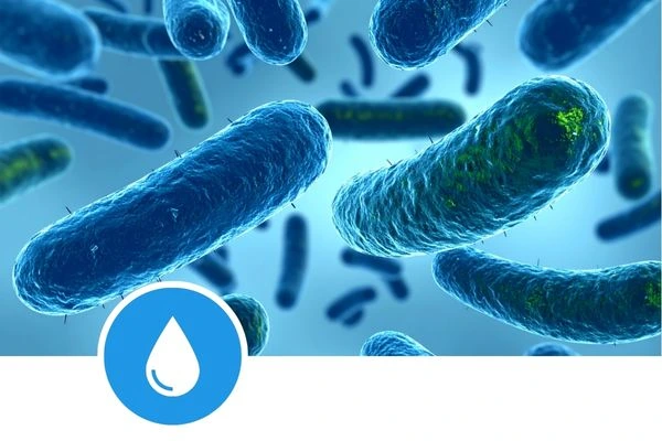 Legionella Inicio